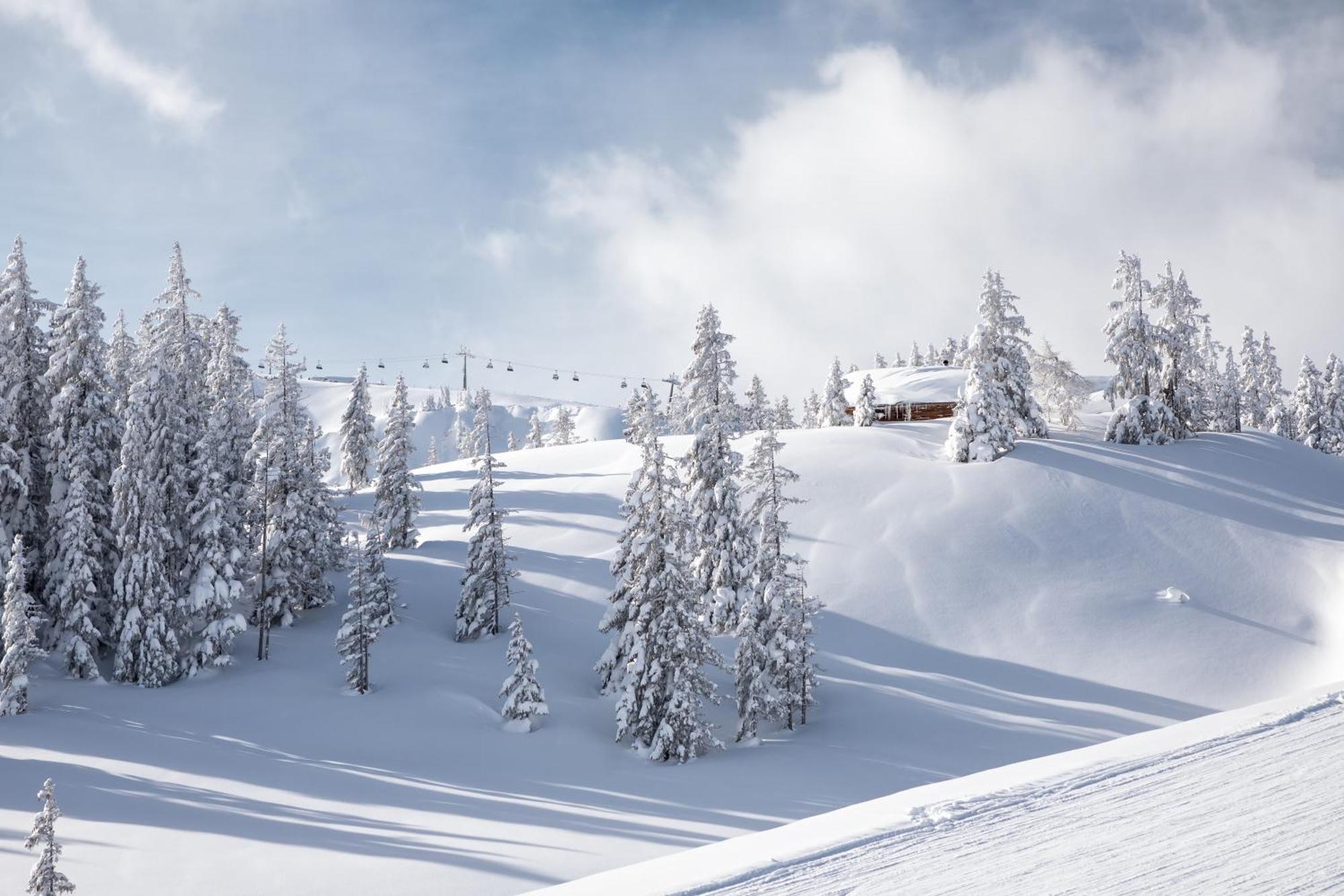 Philson Apartments Saalbach-Hinterglemm Exterior foto